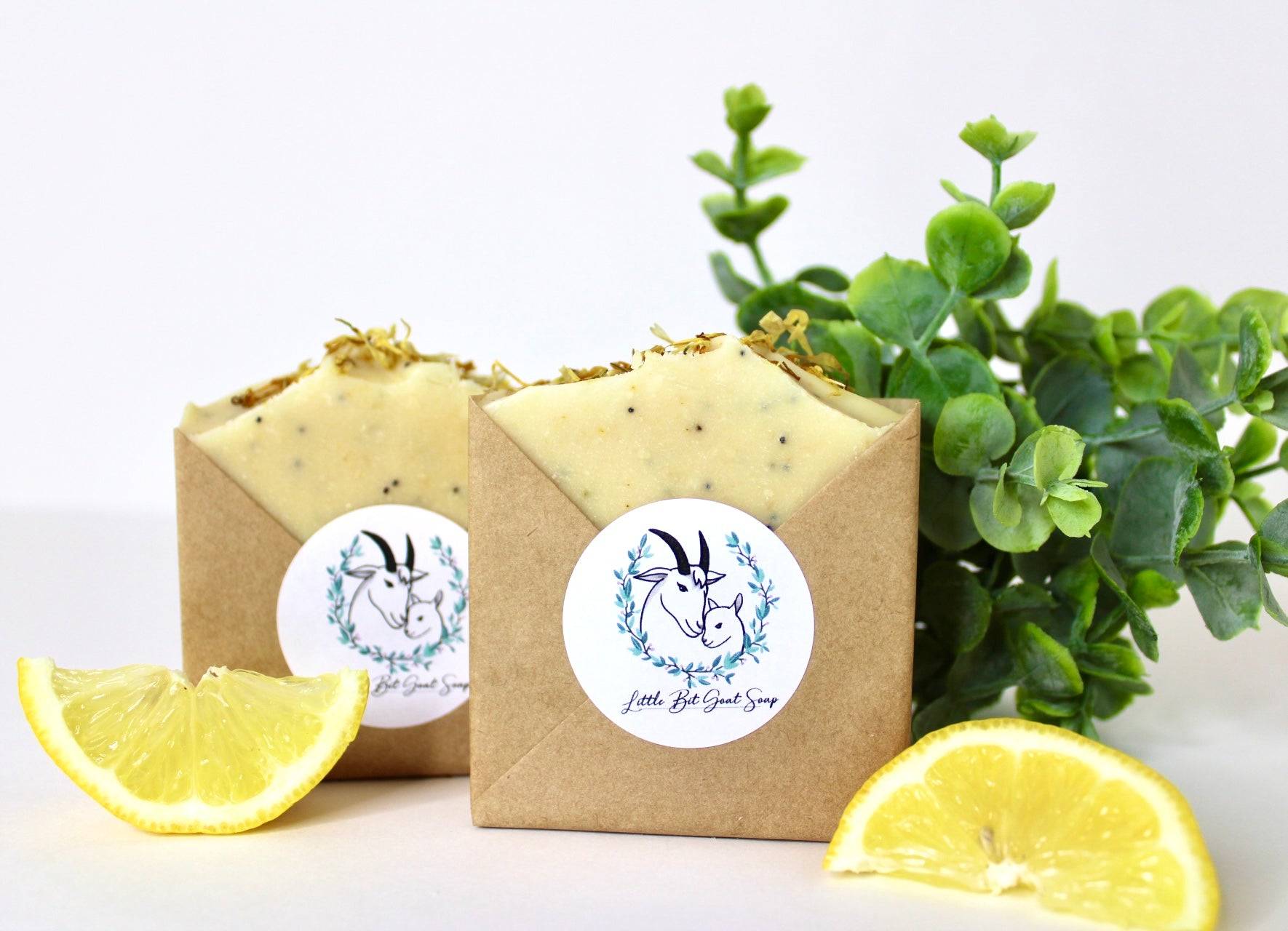 Lemon Poppy Seed Scrub